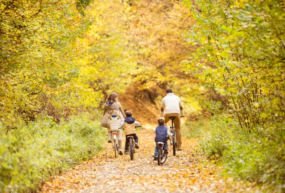 Cycling and horse riding